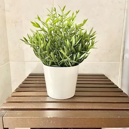 Apto La Muralla Centro - Playa Appartement Gijón