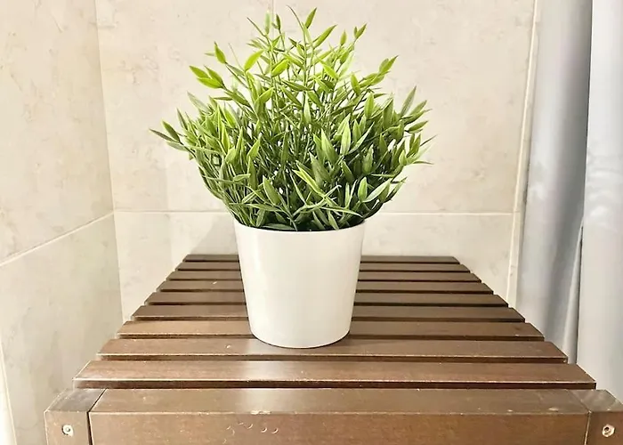 Apto La Muralla Centro - Playa Apartamento Gijón